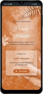 tema-premium-12